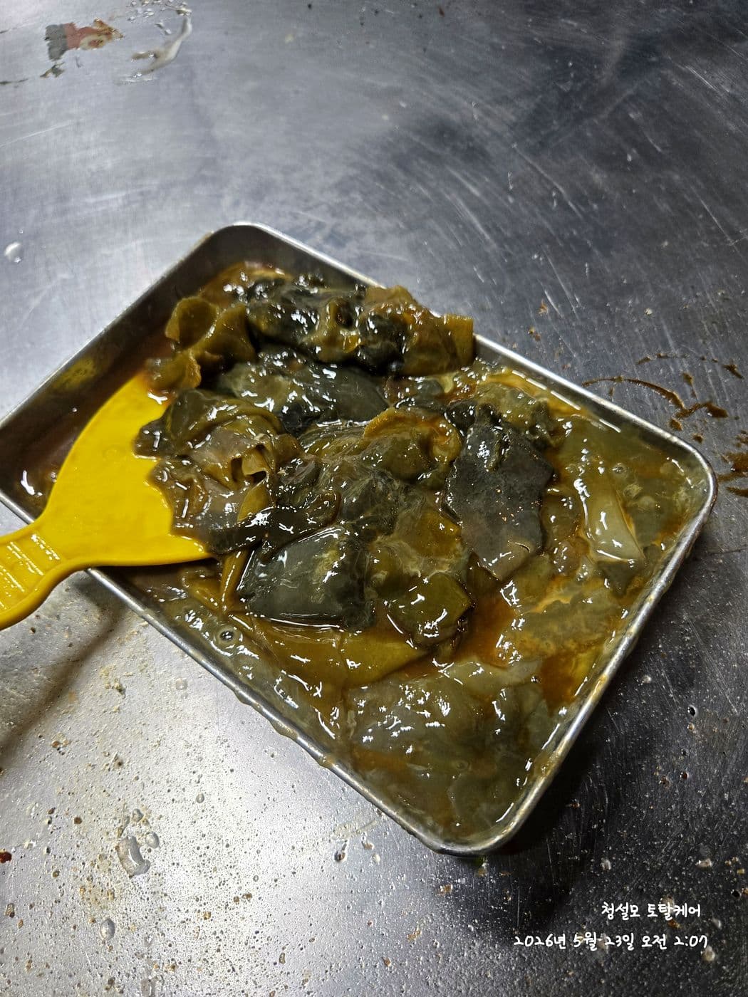 청설모 토탈케어 주방 청소, 조리설비에서 긁어낸 기름 덩어리